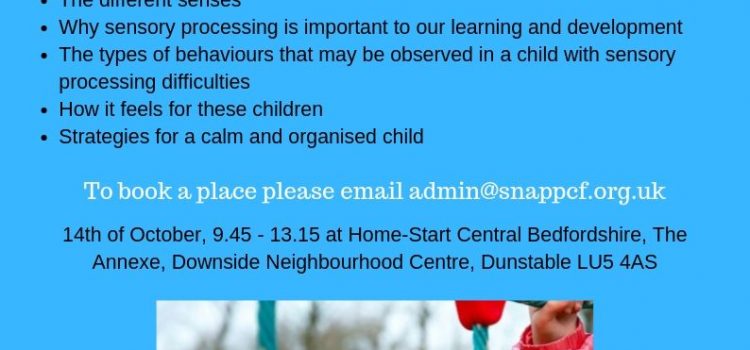 An introduction to Sensory Processing – 14th of October 2019