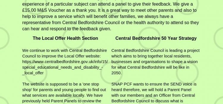 Parent Panel – Local Offer Health Section 8.11.2019 – Parent Panel CBC 50 Year Vision